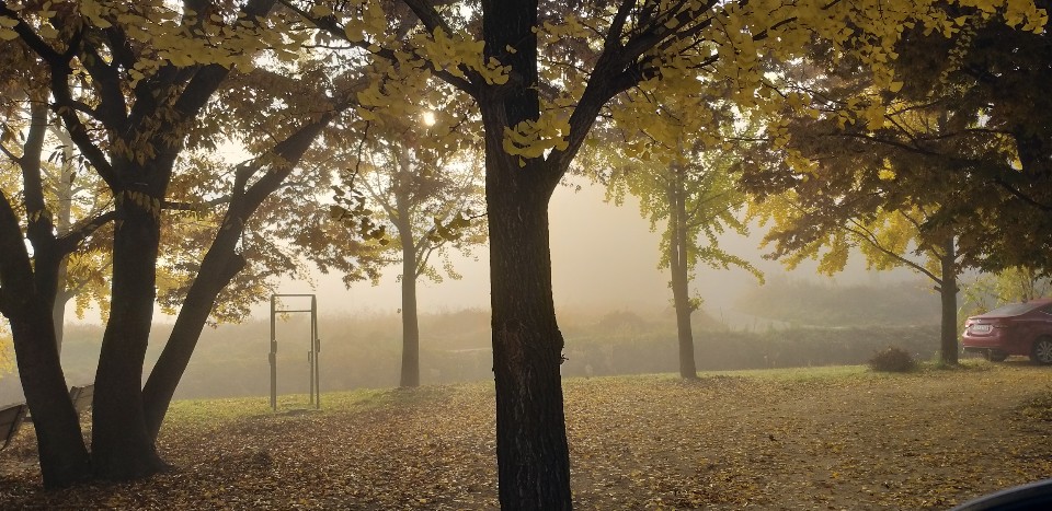 해바라기요양원 이미지 4