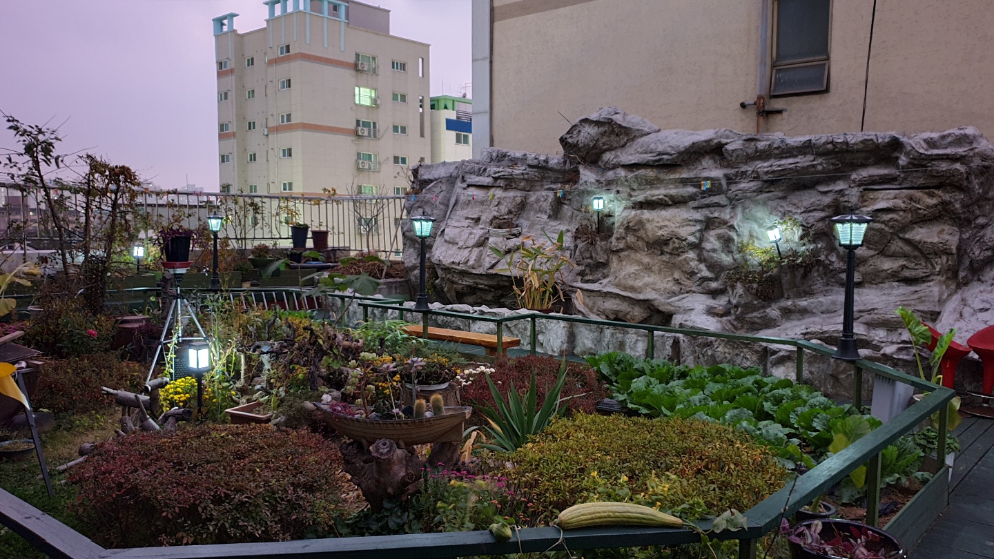 효담채요양원 이미지 2