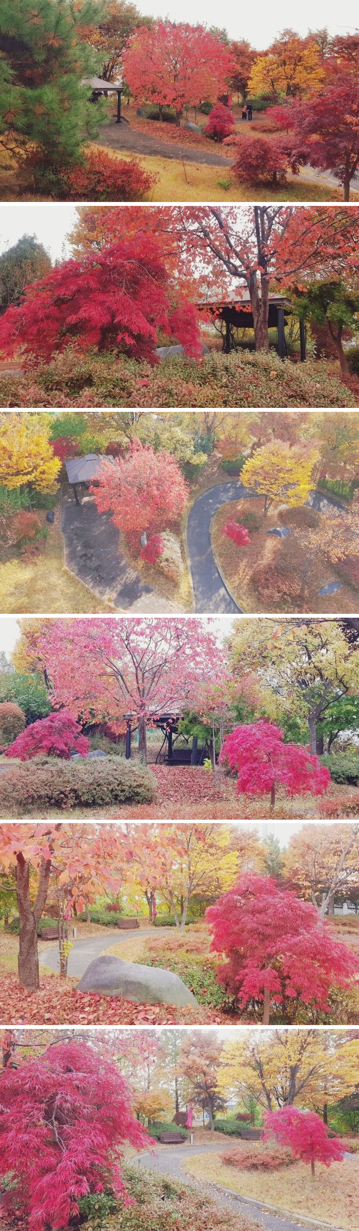 플래티늄 이미지 15