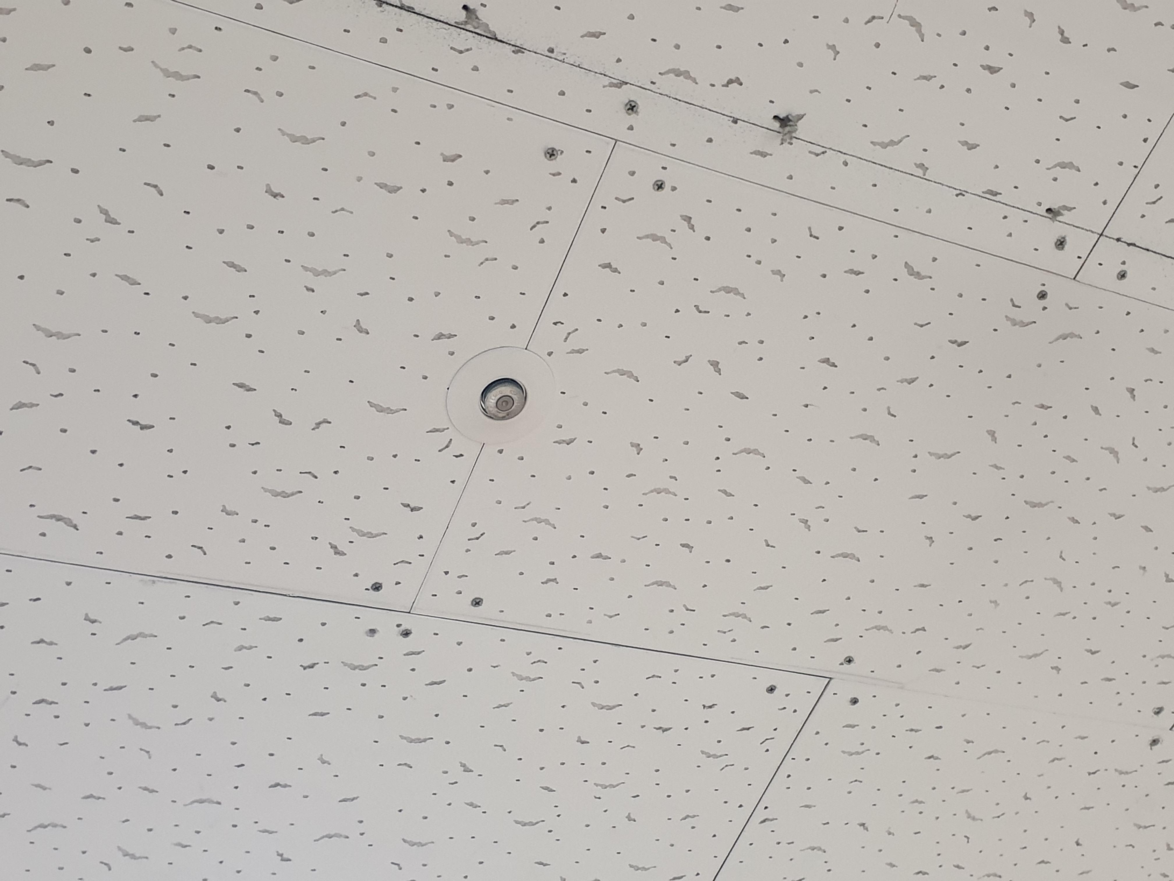 효(孝)광 공동생활가정 이미지 39