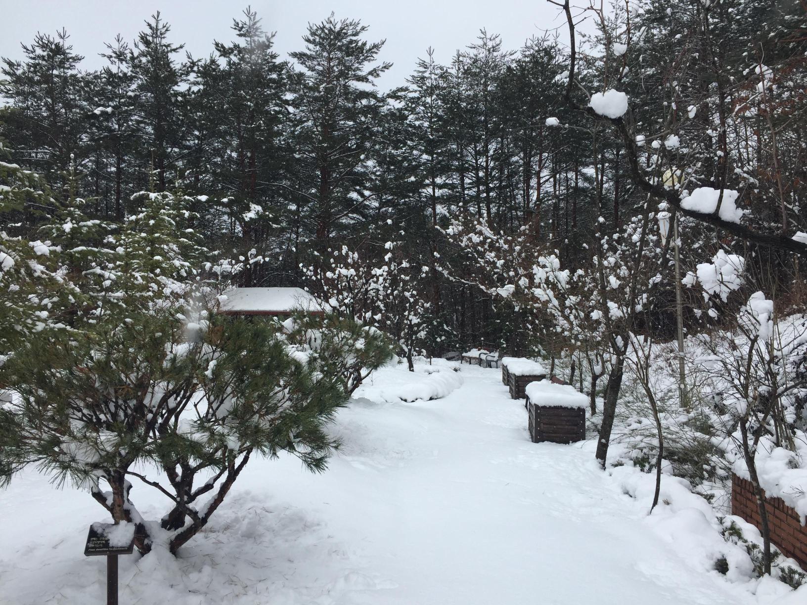 태백노인전문요양원 이미지 2