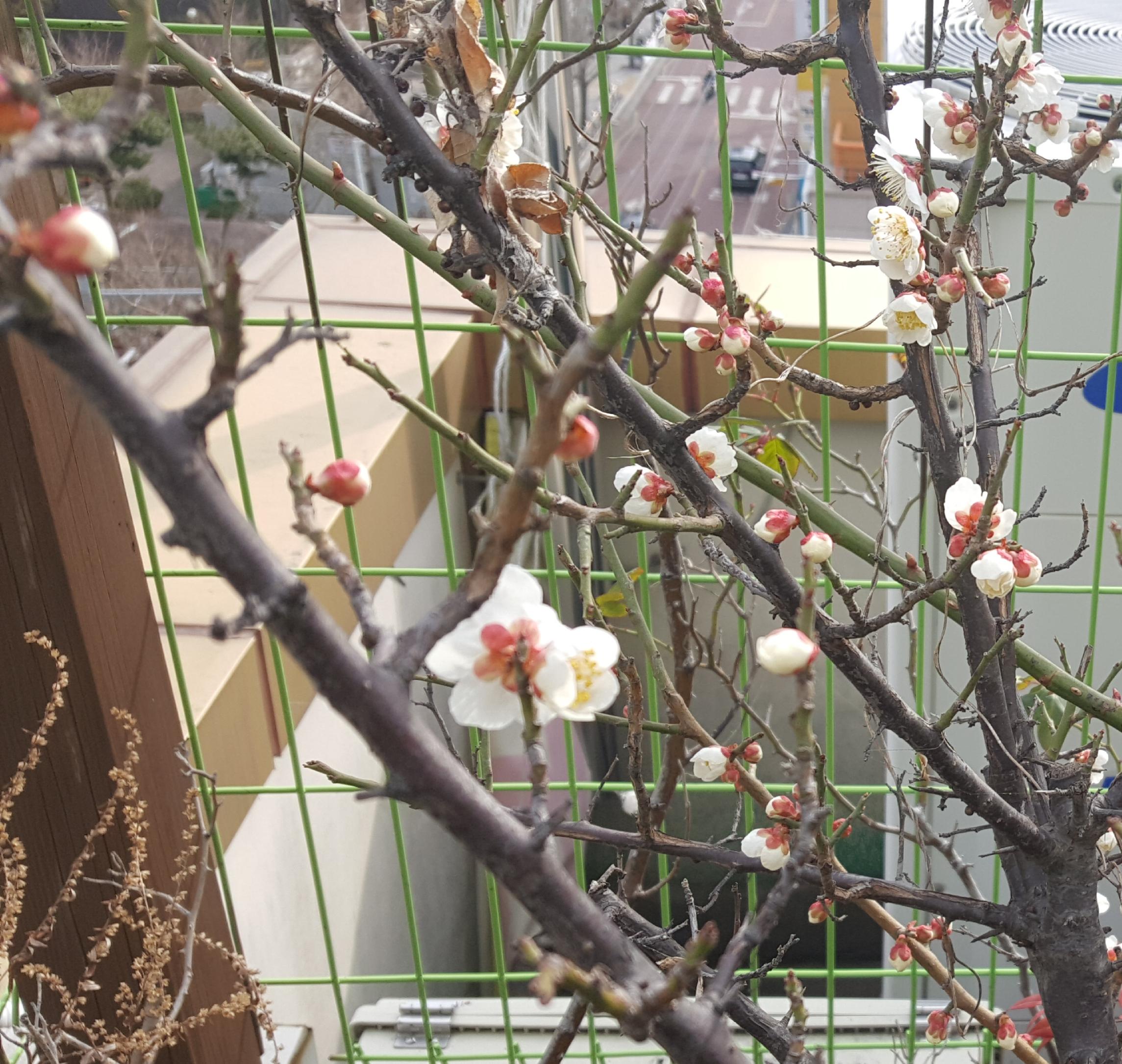 대구케어요양원 이미지 16