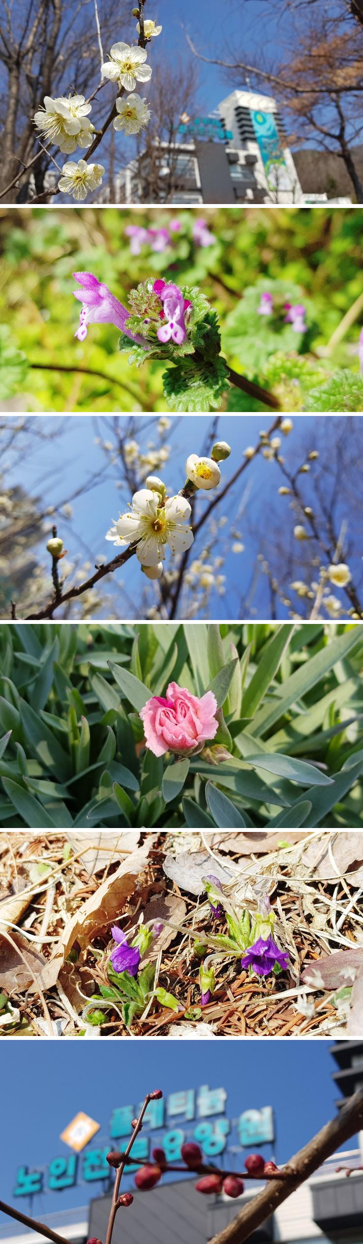 플래티늄 이미지 14