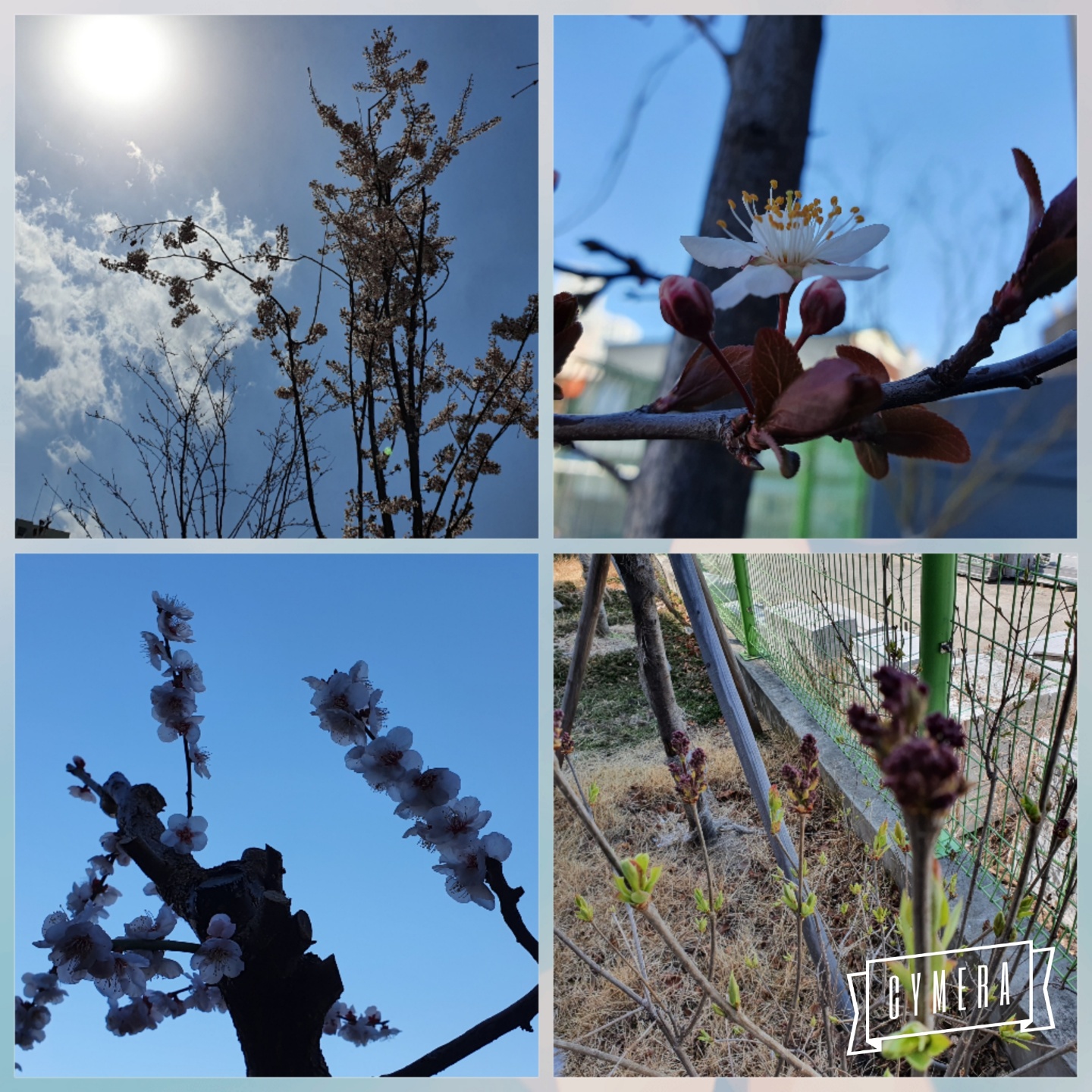 대구샘노인요양센터 이미지 43