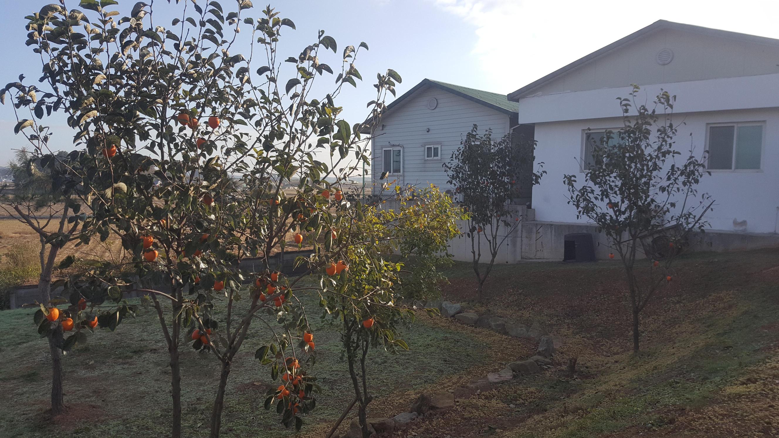 대덕요양원 이미지 4