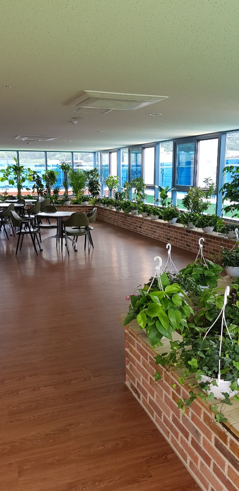 나비요양원 이미지 2