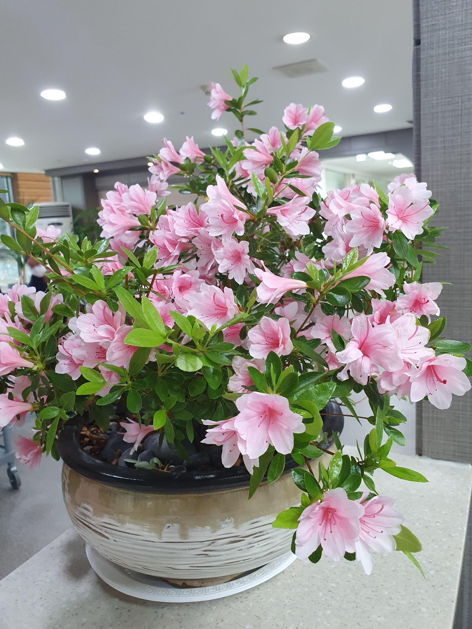 미카엘요양원 이미지 35