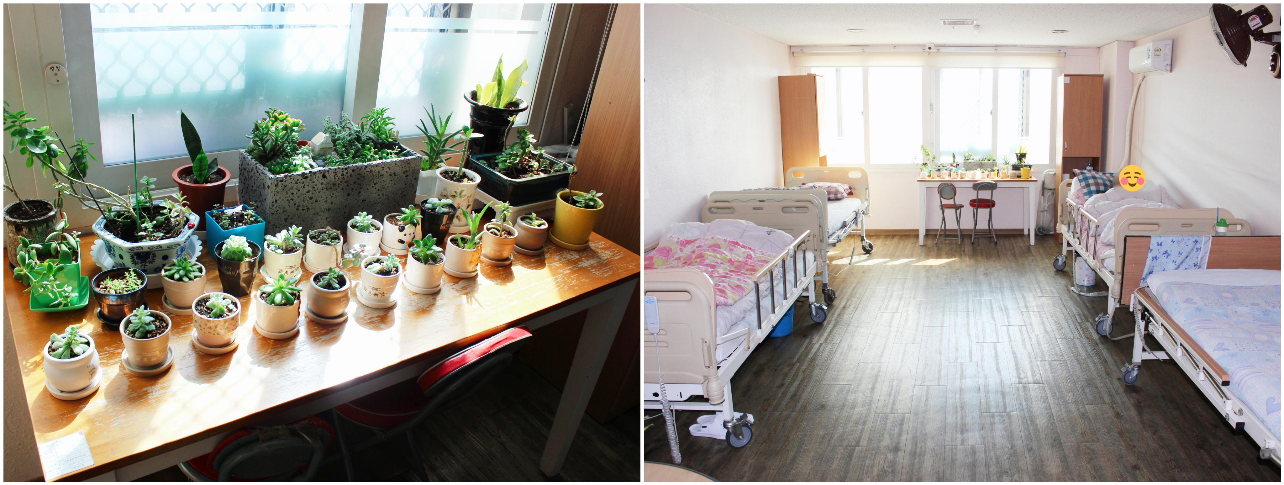 도화요양원 이미지 2