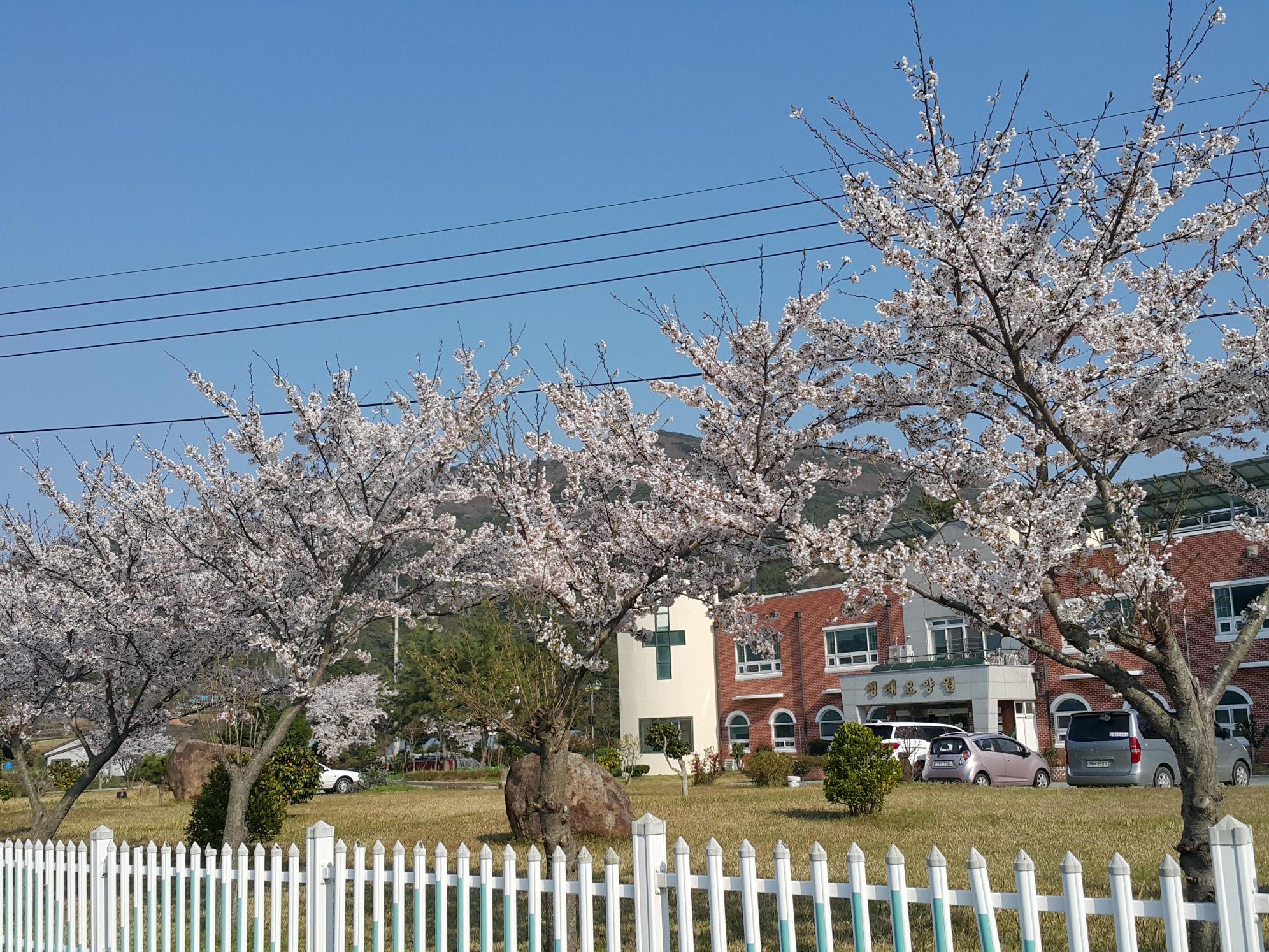 청해요양원 이미지 4