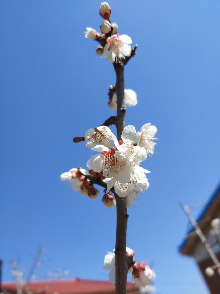 월롱패밀리 요양원 이미지 11