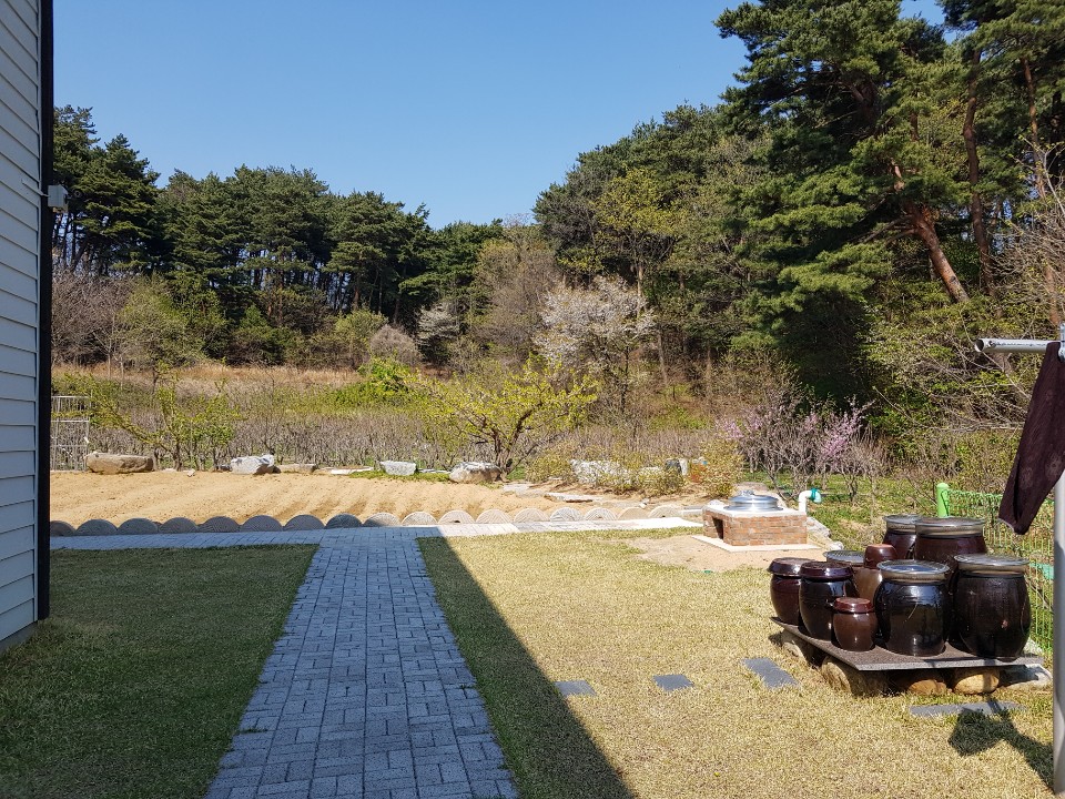 다솔요양원 이미지 4