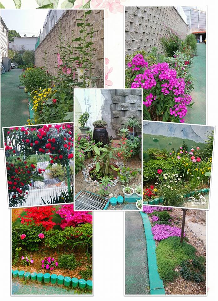 메디케어요양원 이미지 10