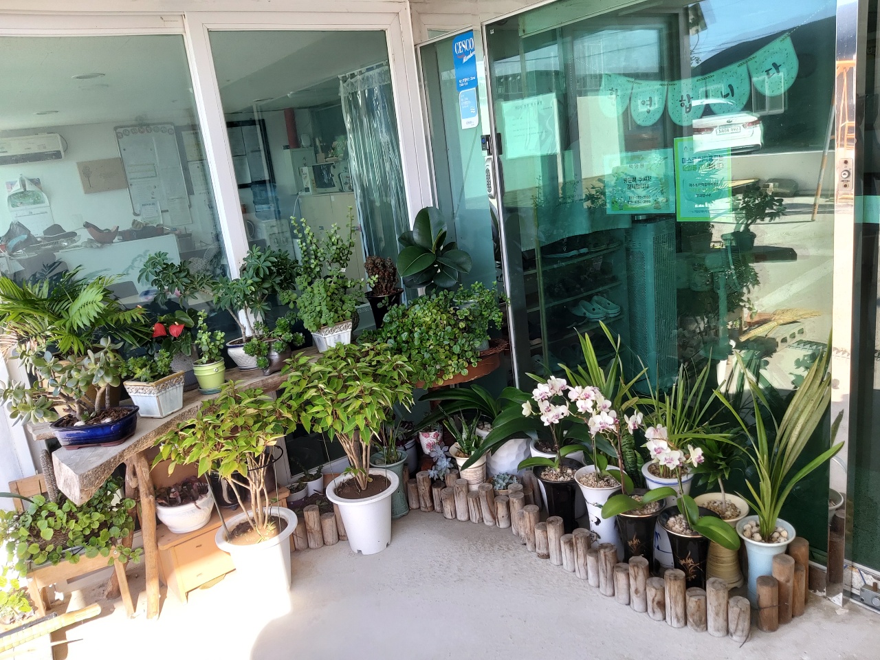 백양원 이미지 4