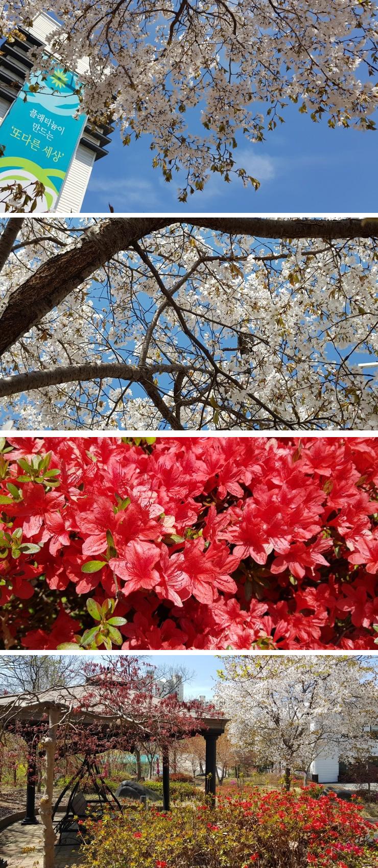 플래티늄 이미지 13