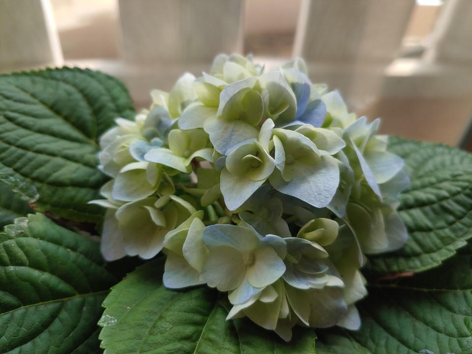 월롱패밀리 요양원 이미지 9