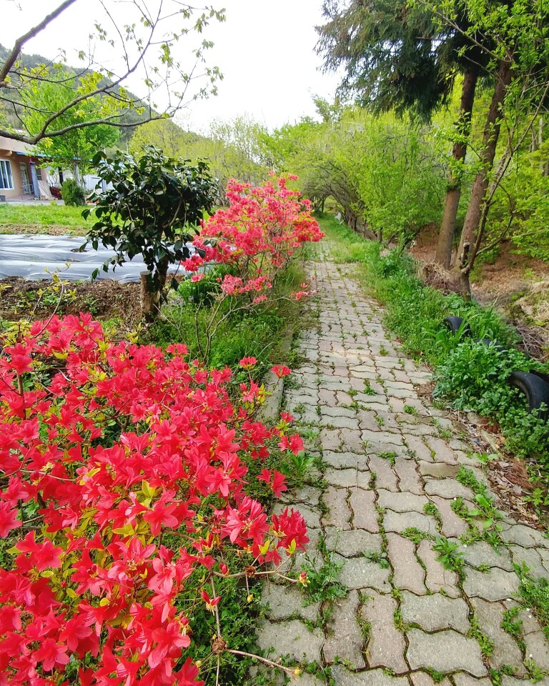 백양실버홈 전원생활어르신의집 이미지 8