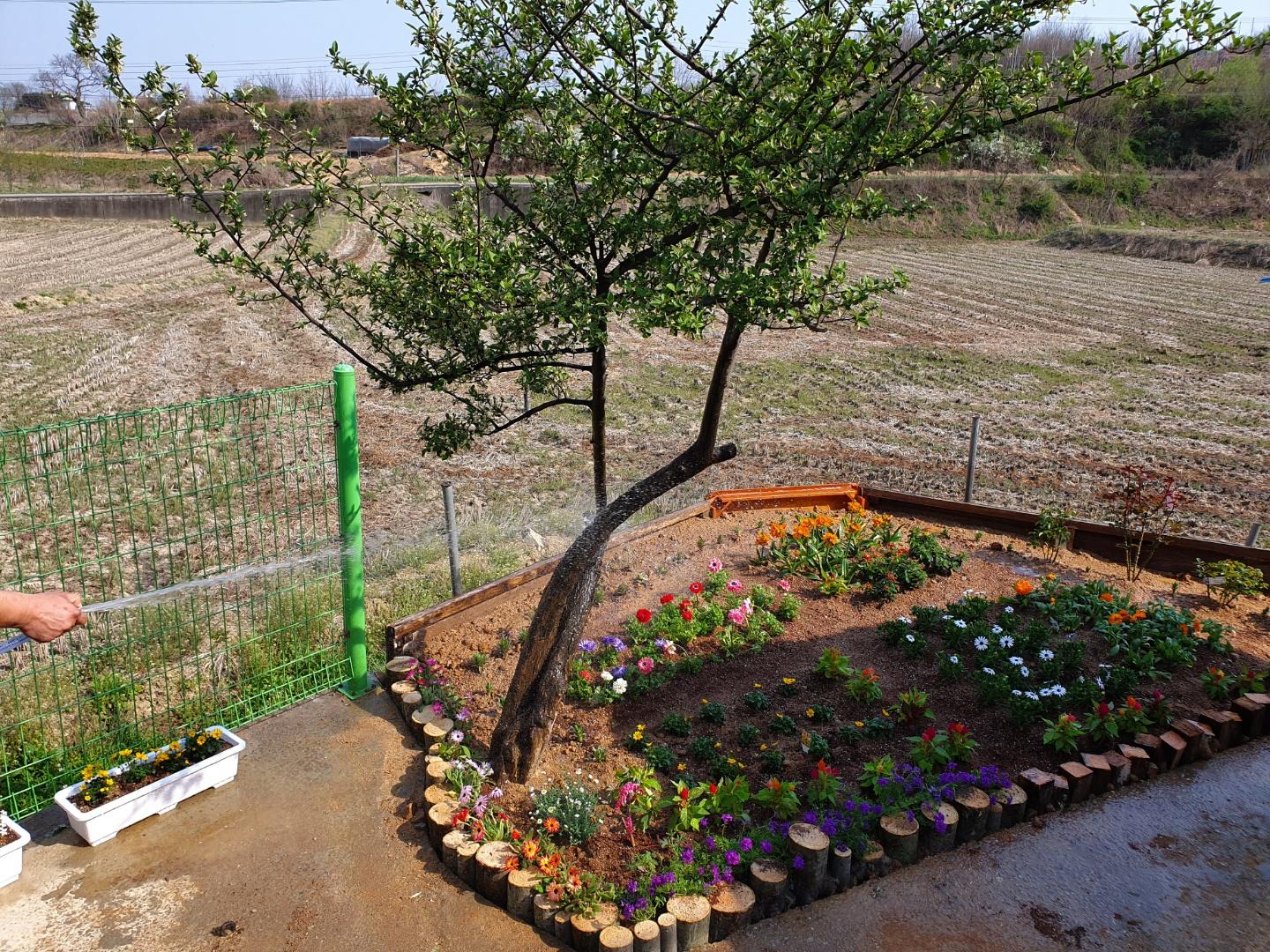 평안의집 이미지 6