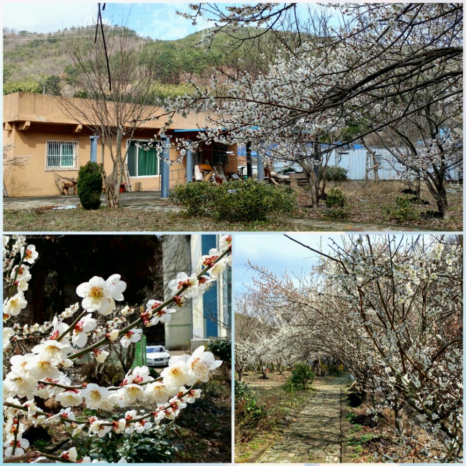 백양실버홈 전원생활어르신의집 이미지 12