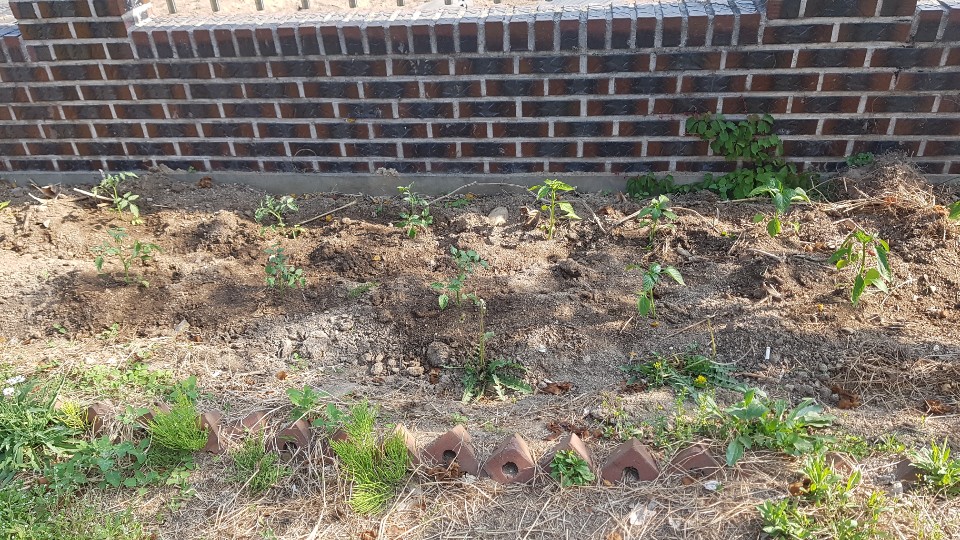 은혜요양원 이미지 3