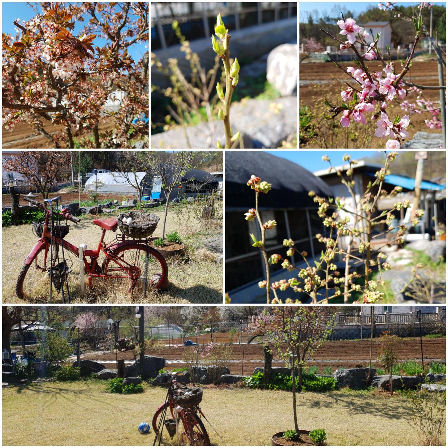 은혜채 요양원 이미지 2