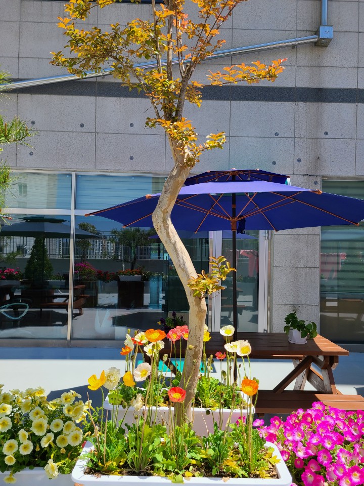 효은요양원 이미지 9