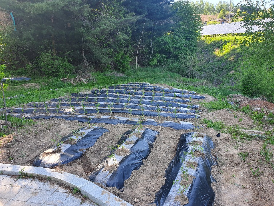 태백시실버요양원 이미지 3