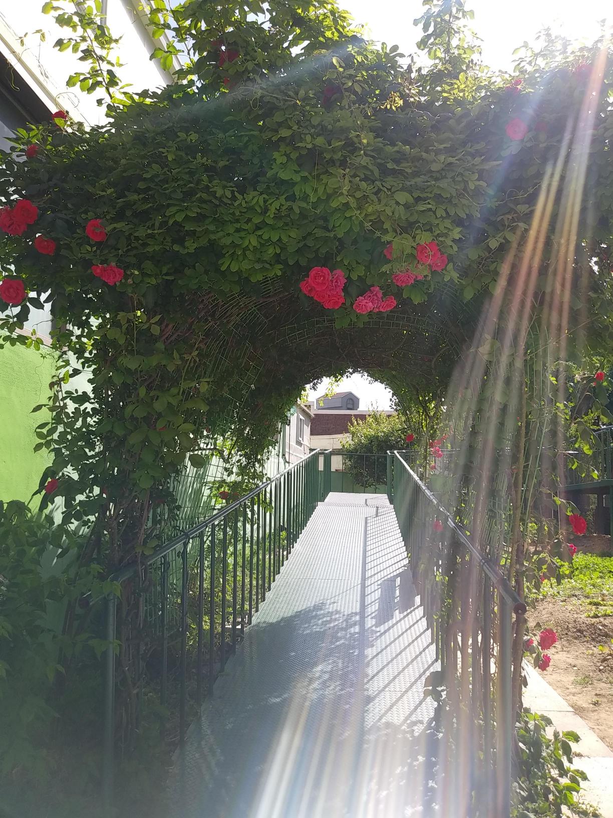 효드림실버홈 이미지 4