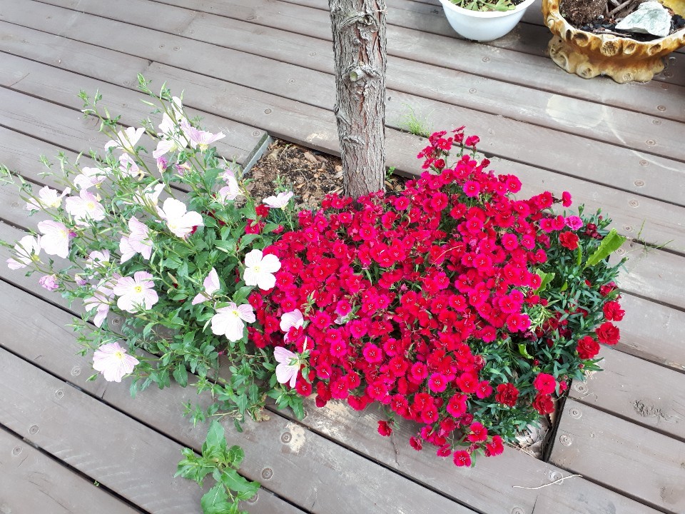 한빛노인복지센터