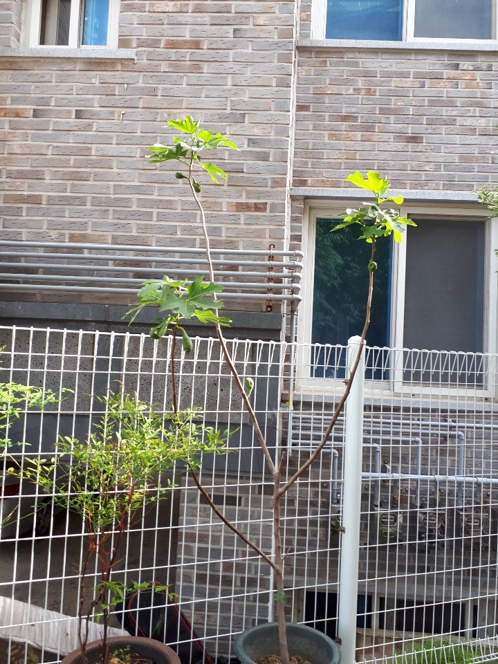 한빛노인복지센터 이미지 2