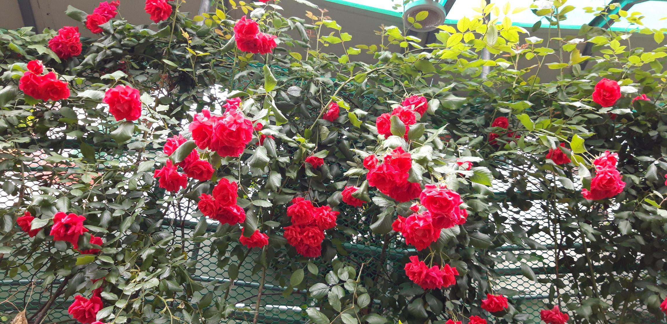 시온요양원 이미지 3