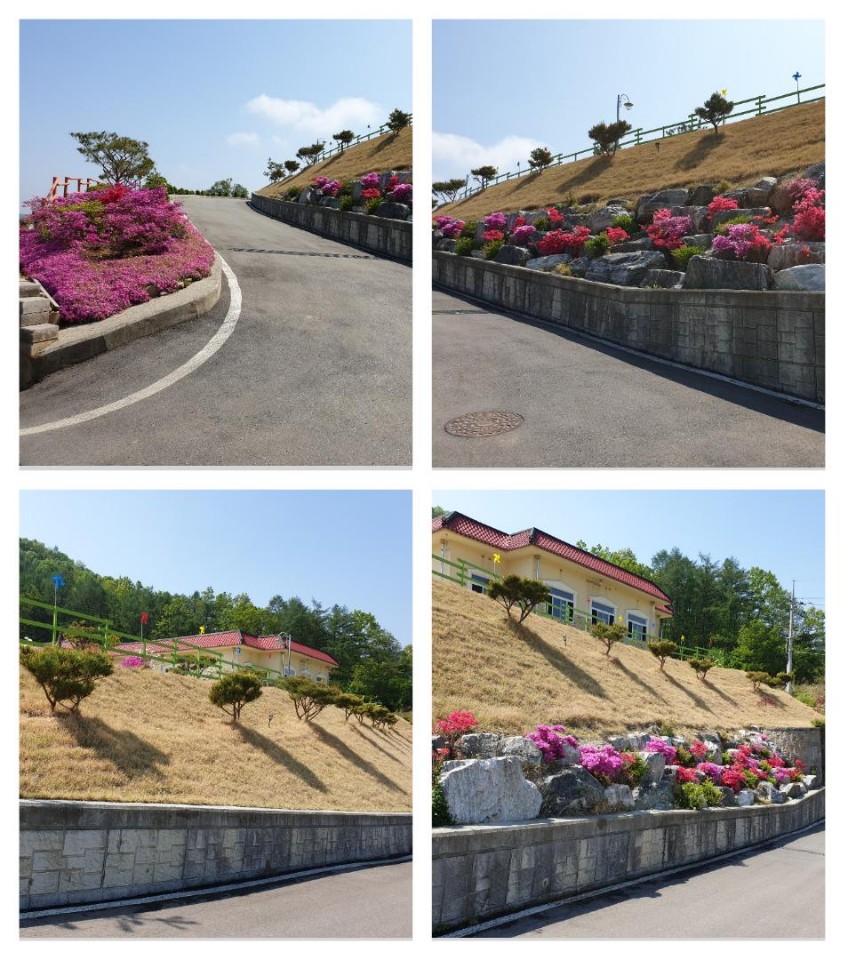 보금자리요양원 이미지 4