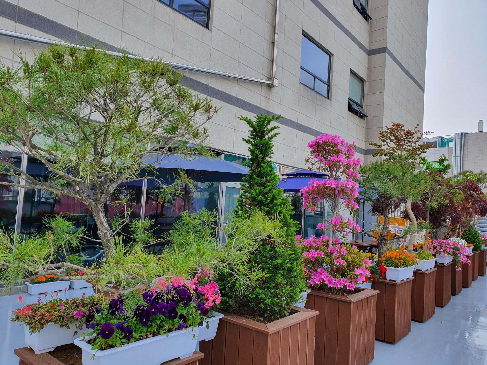 효은요양원 이미지 5