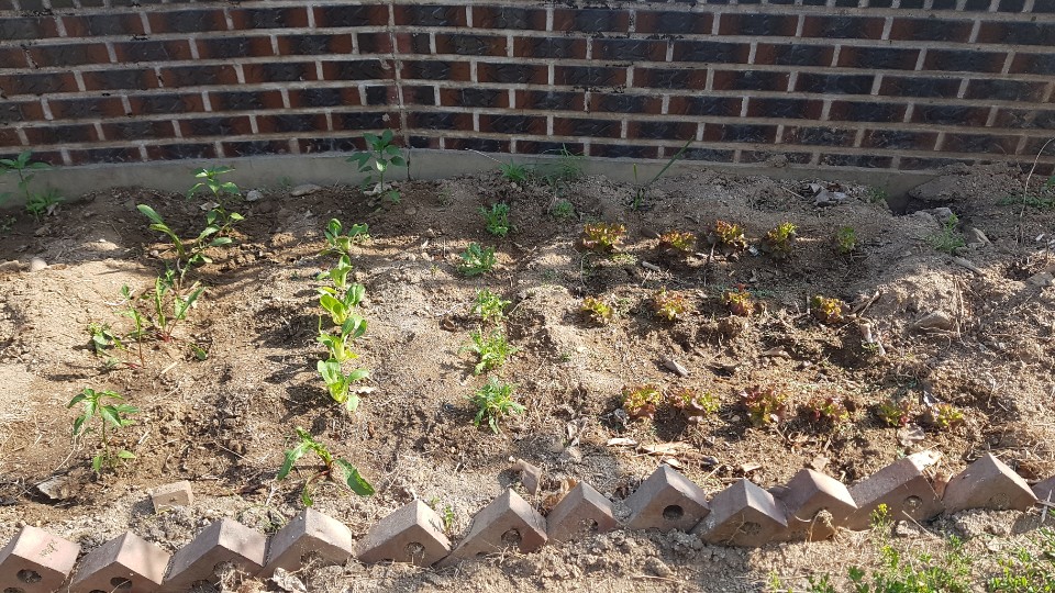 은혜요양원 이미지 4