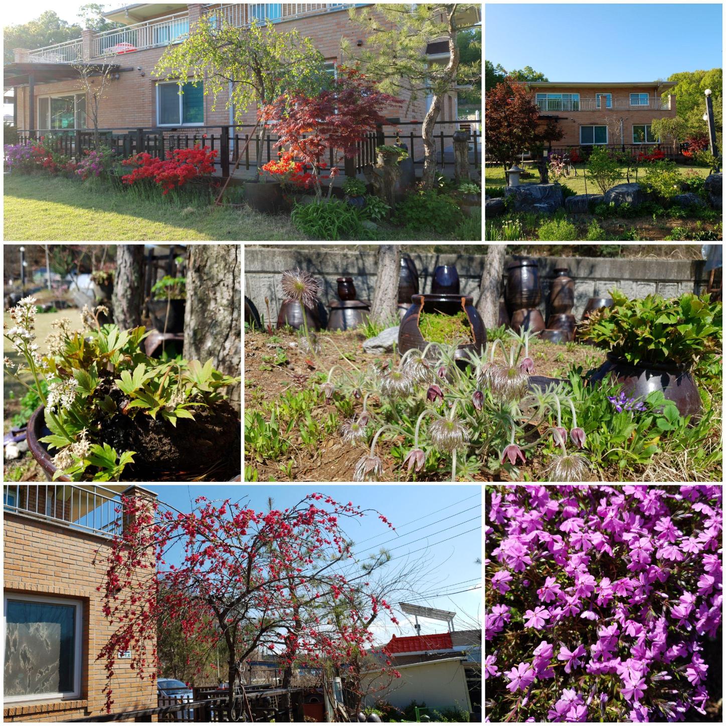 은혜채 요양원 이미지 3