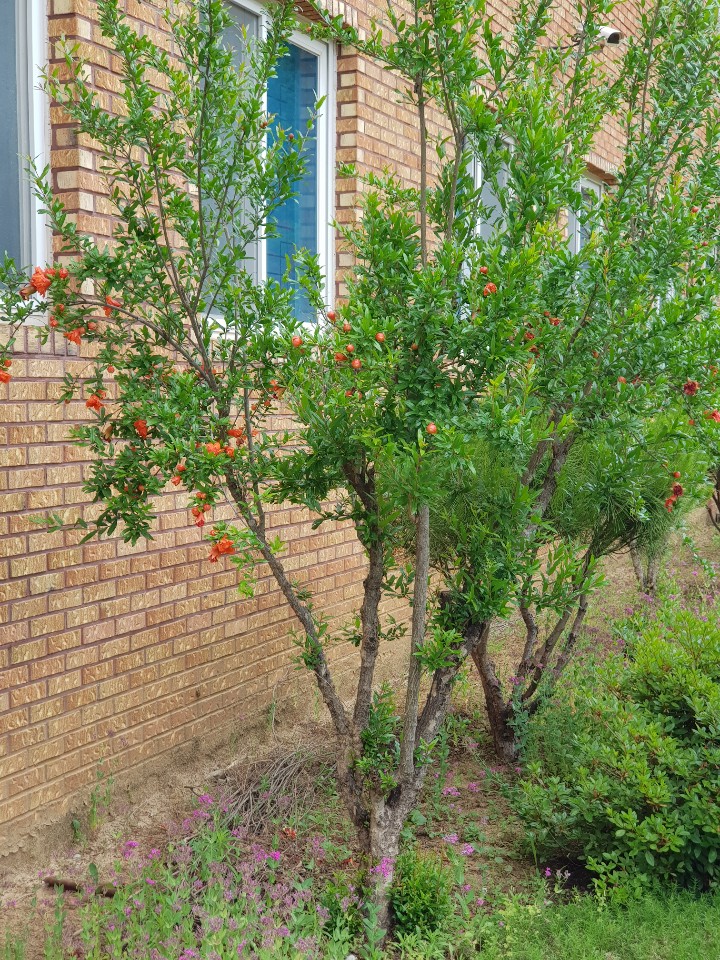 행복한마을 이미지 3