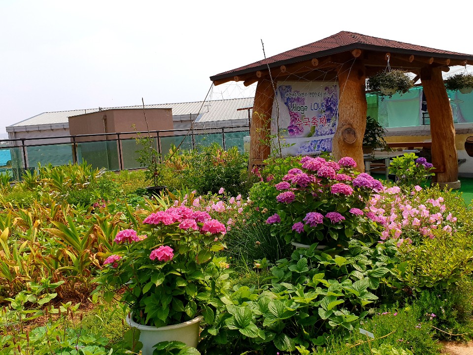 사랑의마을요양원 이미지 11