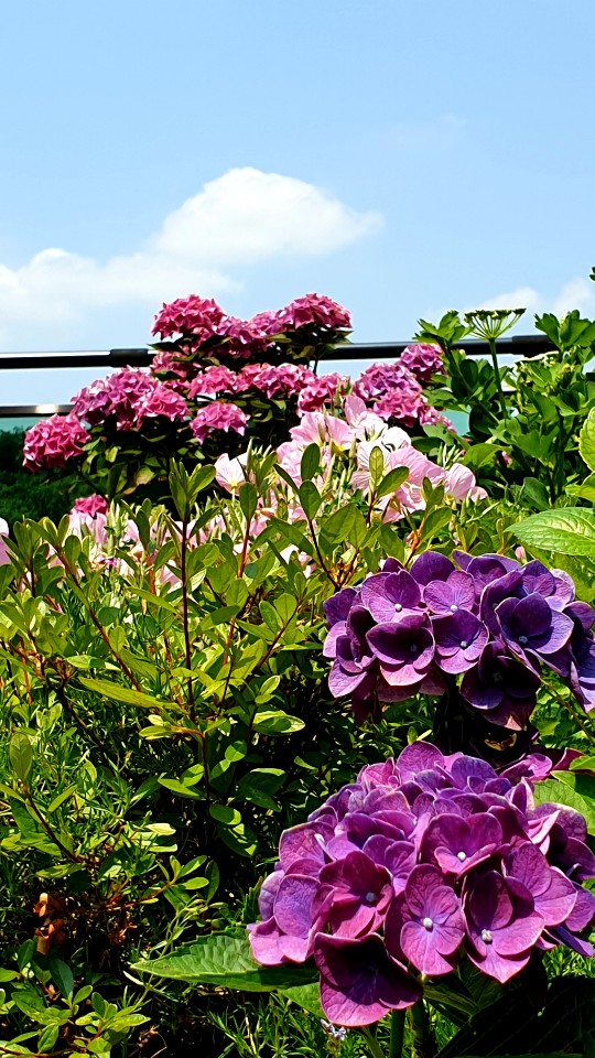 사랑의마을요양원 이미지 9