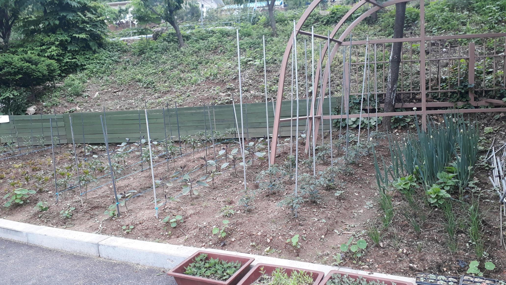 꽃마루요양원 이미지 2