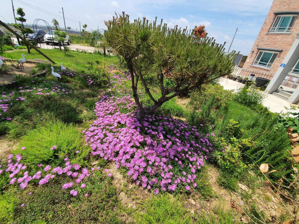 한결요양원 이미지 3