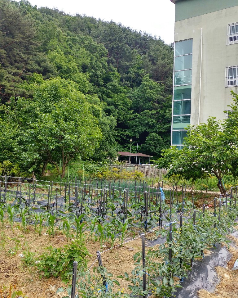 백양실버홈 전원생활어르신의집 이미지 6