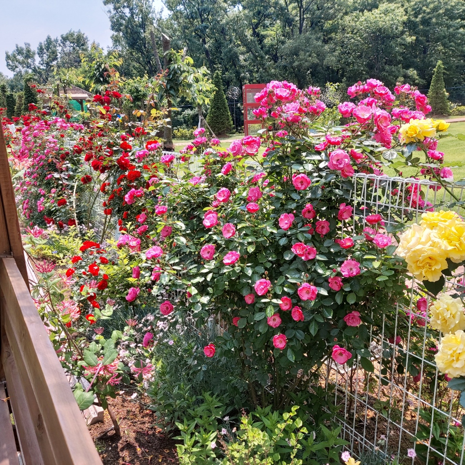 드림요양원 이미지 8