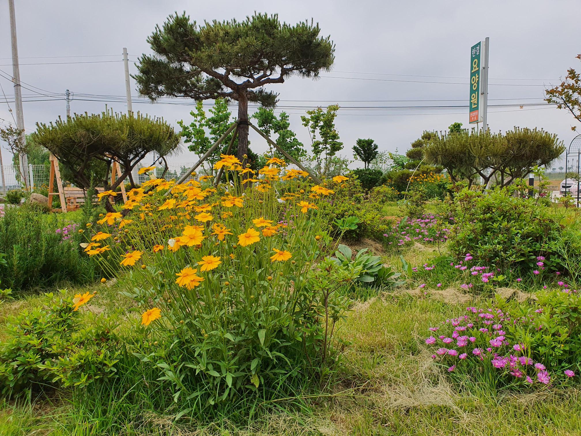한결요양원 이미지 18