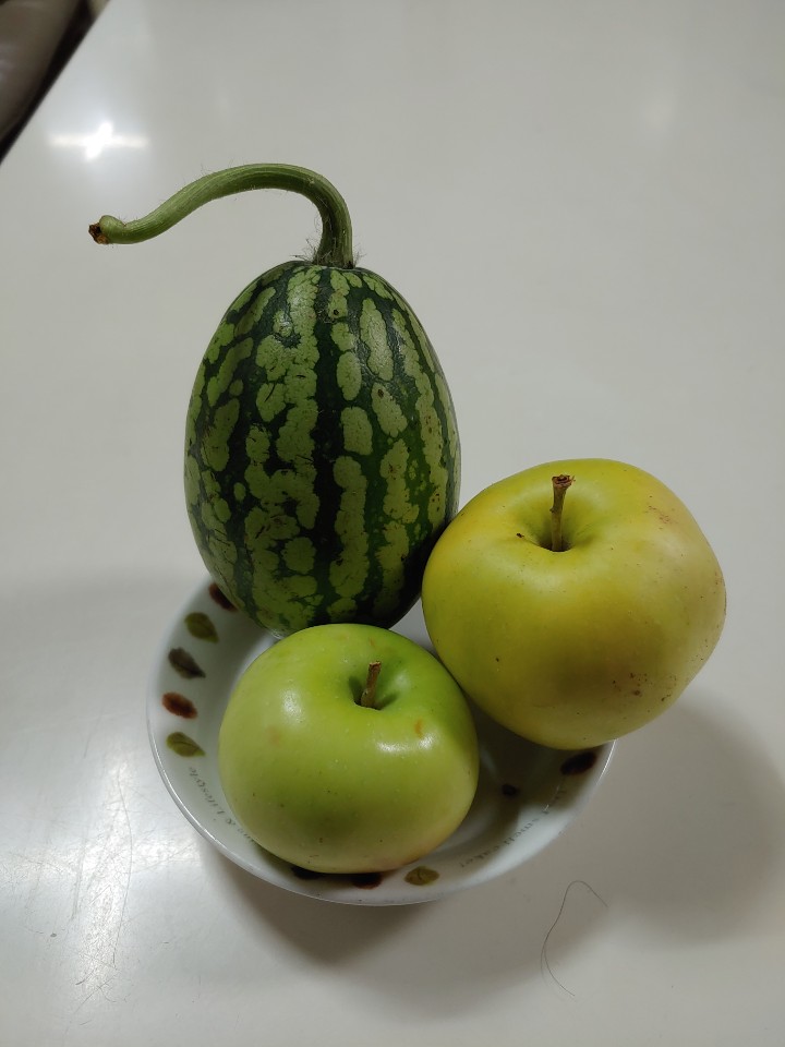 월롱패밀리 요양원 이미지 8