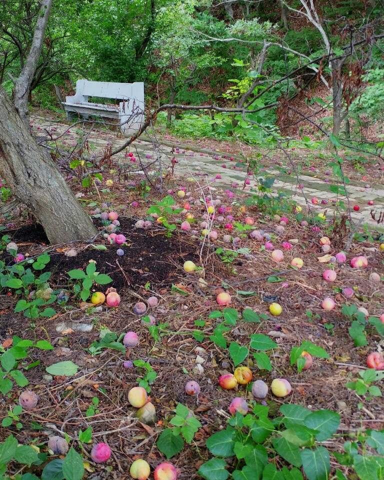 백양실버홈 전원생활어르신의집 이미지 4