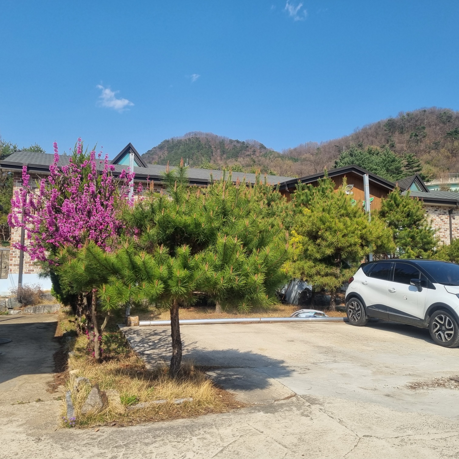 푸른초장요양원1 이미지 2