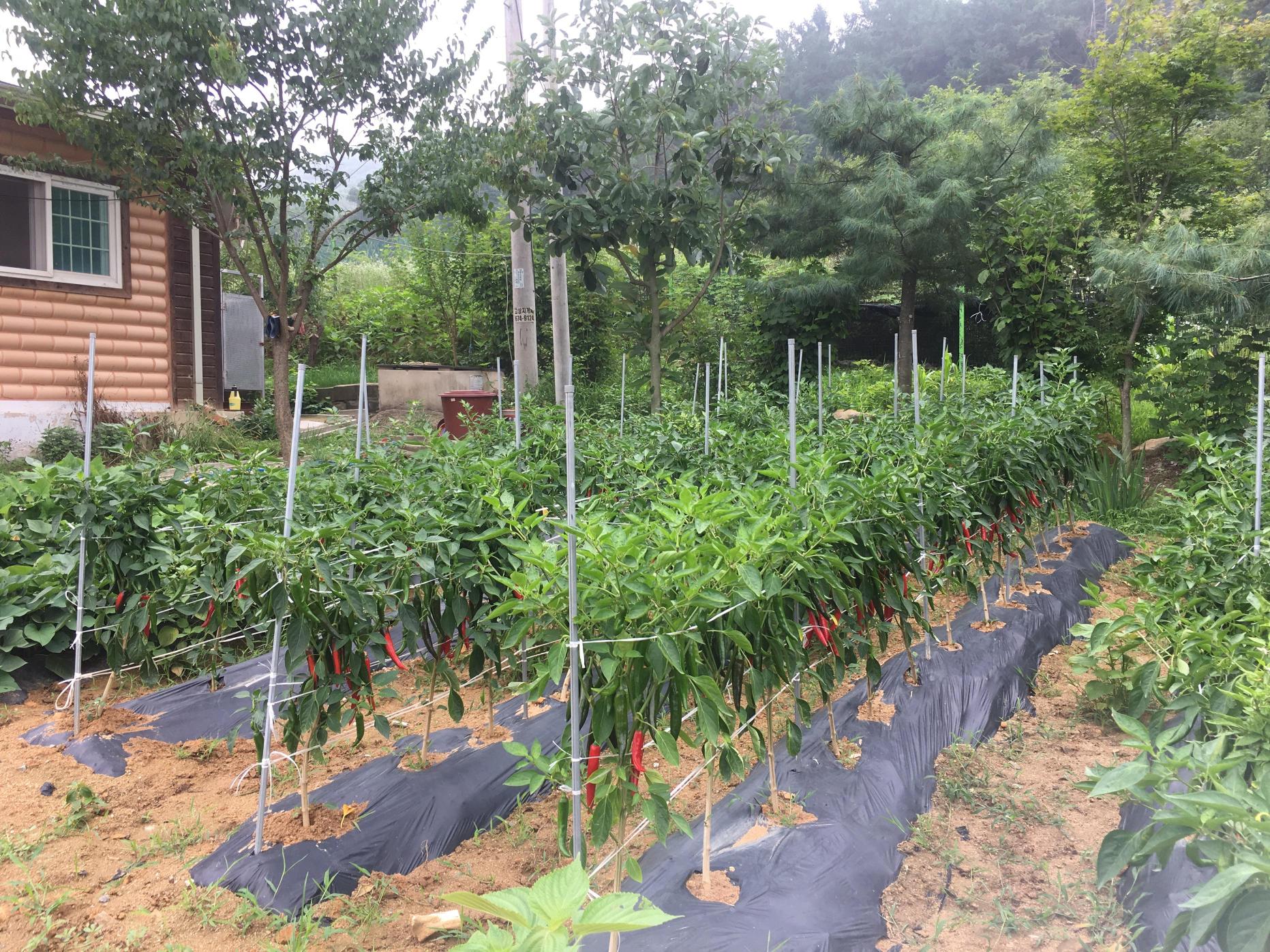 참사랑요양원 이미지 9