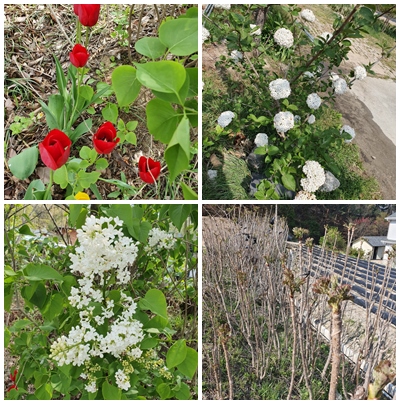 문수효마을 이미지 14