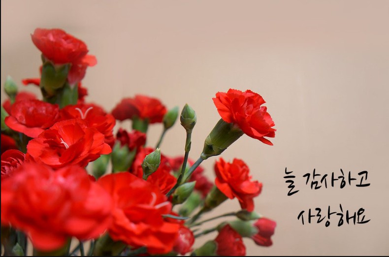 문수효마을 이미지 13