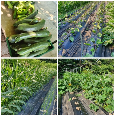 문수효마을 이미지 11