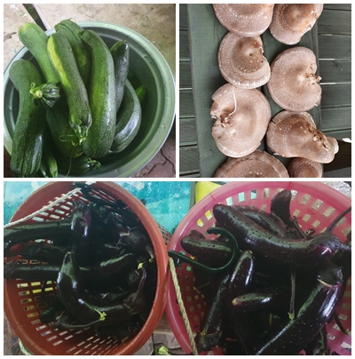 문수효마을 이미지 5